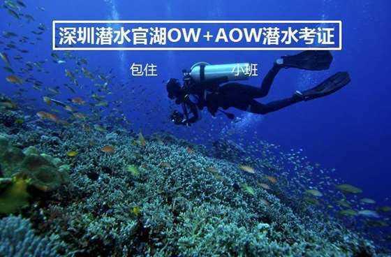 小鸡要回家